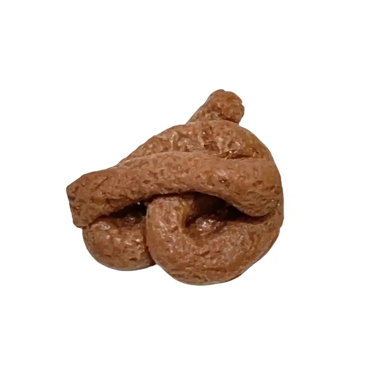 Fake Poop Gag Gift - Giocattolo realistico di scherzo di cacca