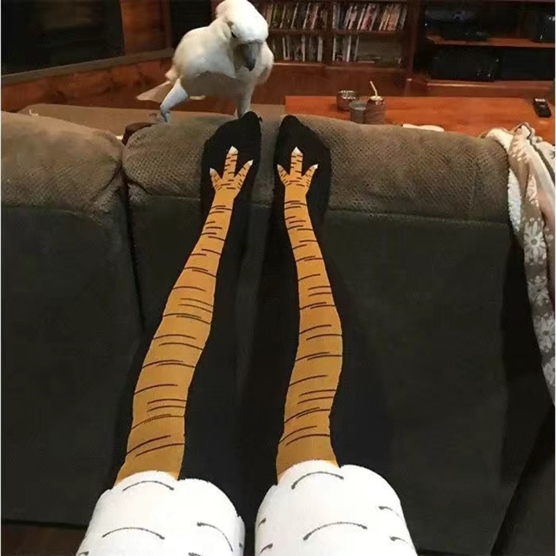 Calzini da donna a forma di za - Funny Chicken Leg Socks recensione e prezzo